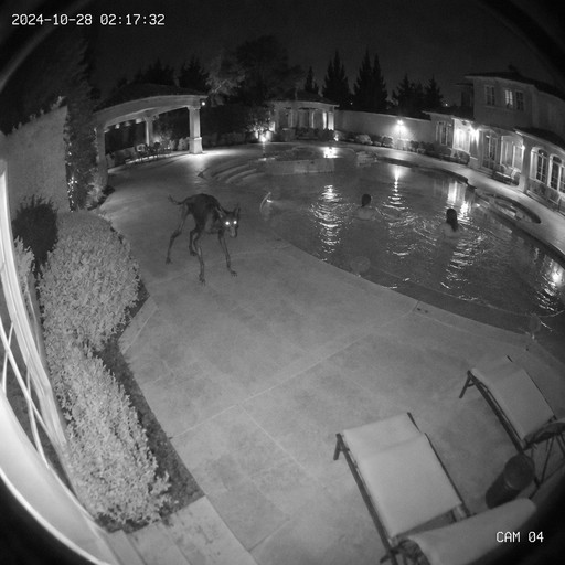 Grayscale security camera view of people near a backyard swimming pool at night.