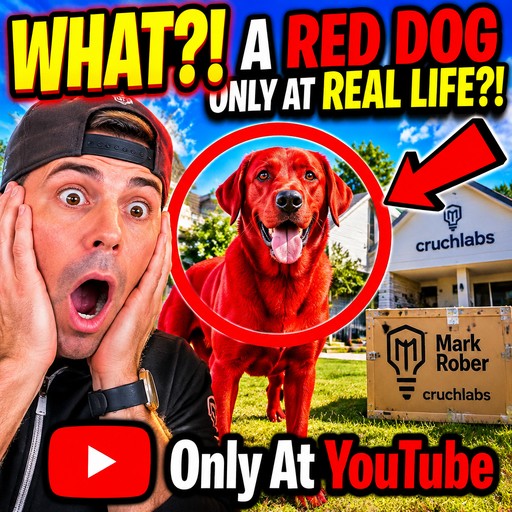 A person and red dog beside delivery boxes, with bold text and arrows.