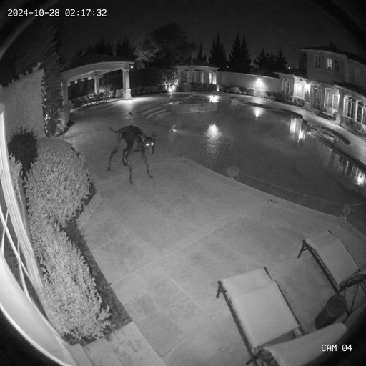 Grainy black-and-white security camera view of a person walking across a courtyard at night.