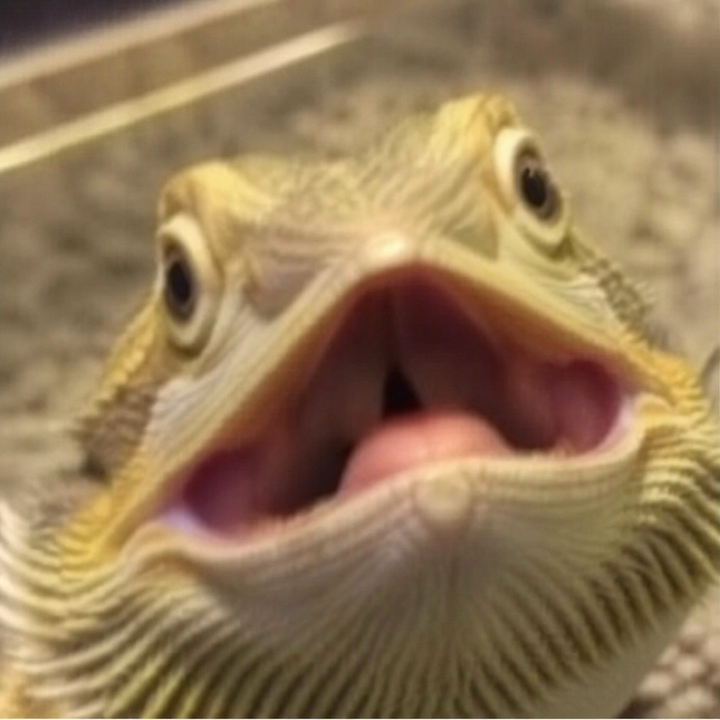 Reaction Image brainrot style example